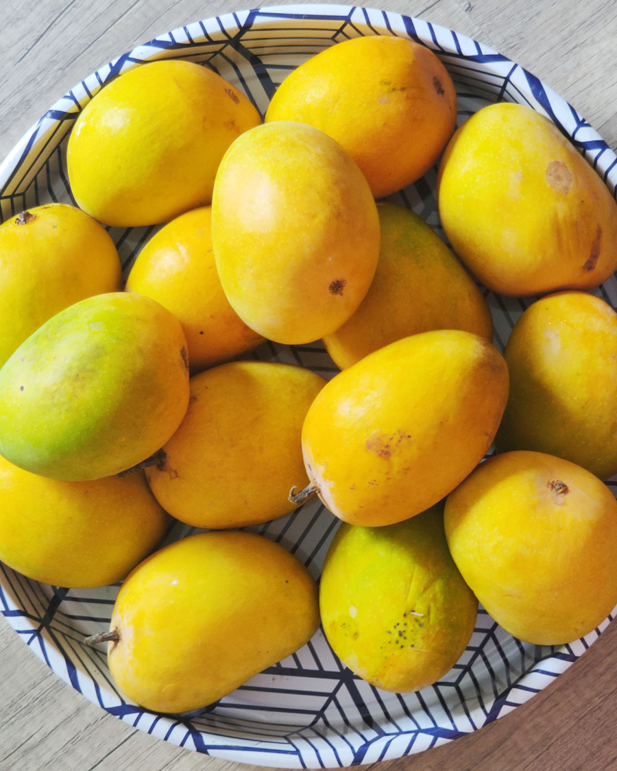হারিভাঙ্গা